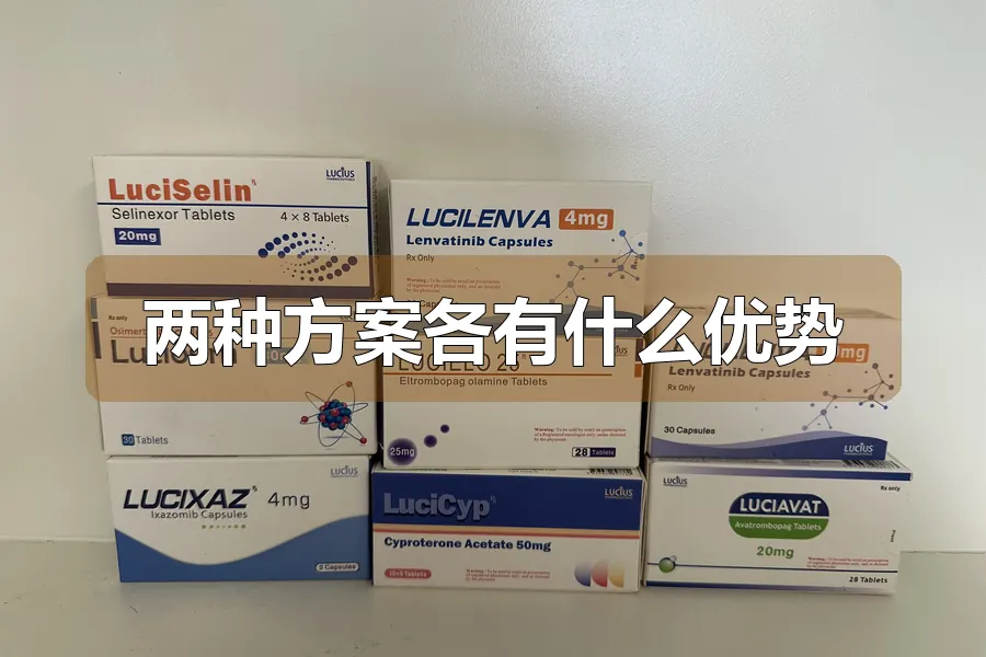 两种方案各有什么优势